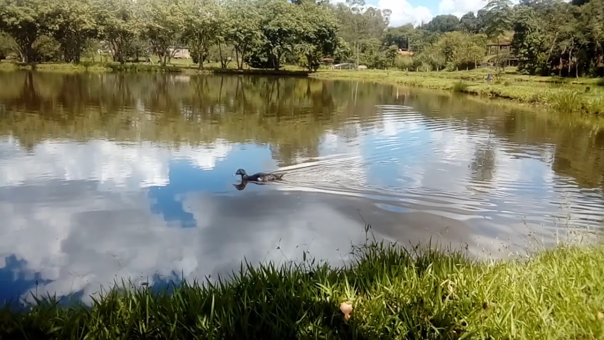 Fishing And Restaurant Great Surrounded-2