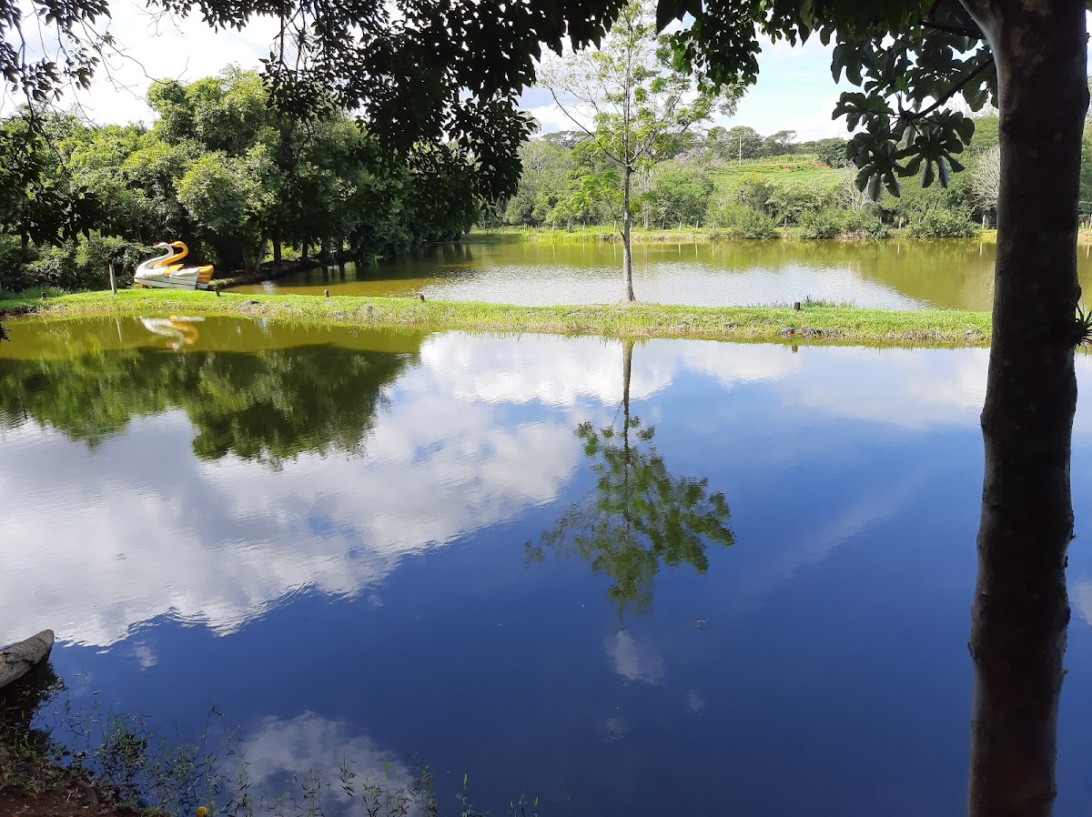 Fishing And Restaurant Great Surrounded-4